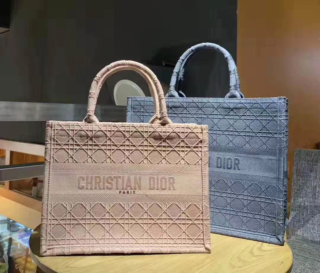 Túi xách Christian Dior Paris khiến tín đồ Dior mê mẩn