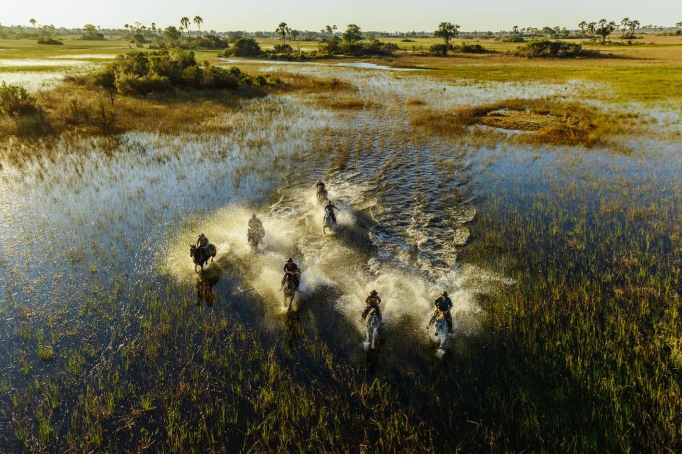 Đồng bằng Okavango 