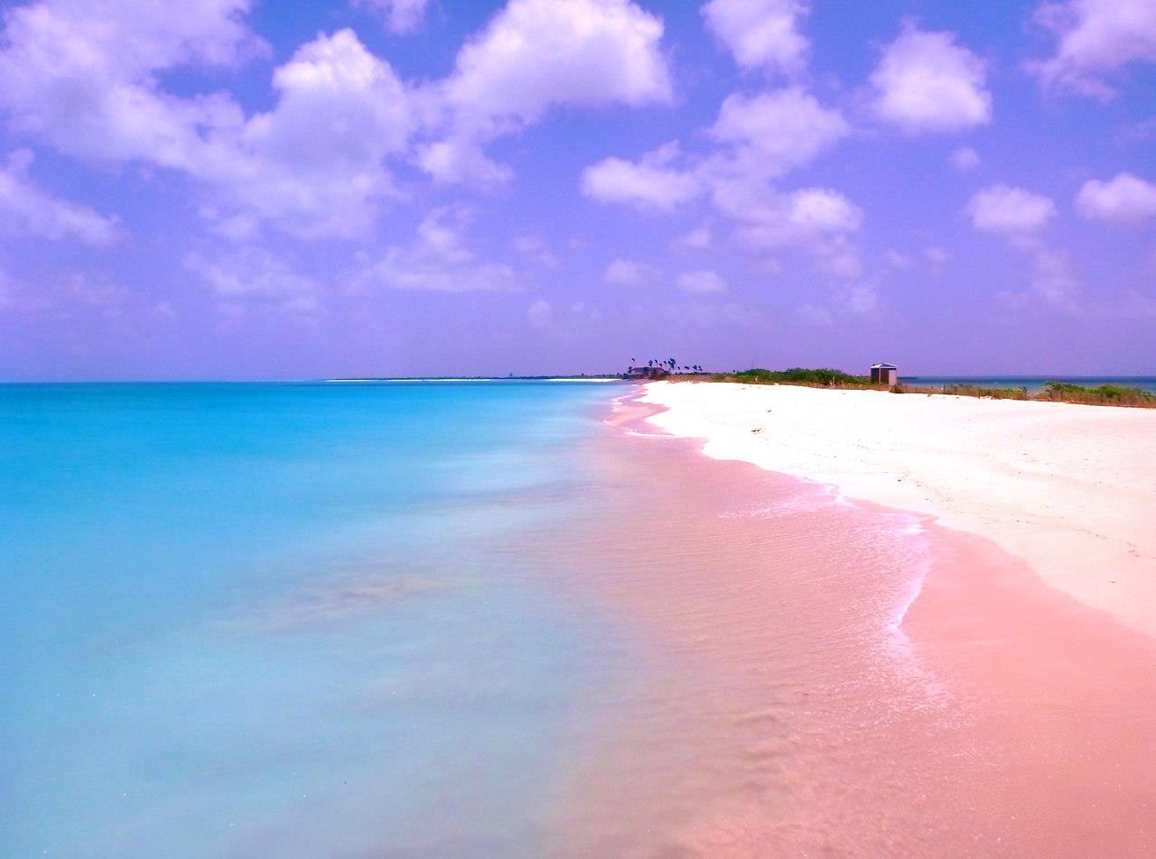Bãi biển Pink Sands